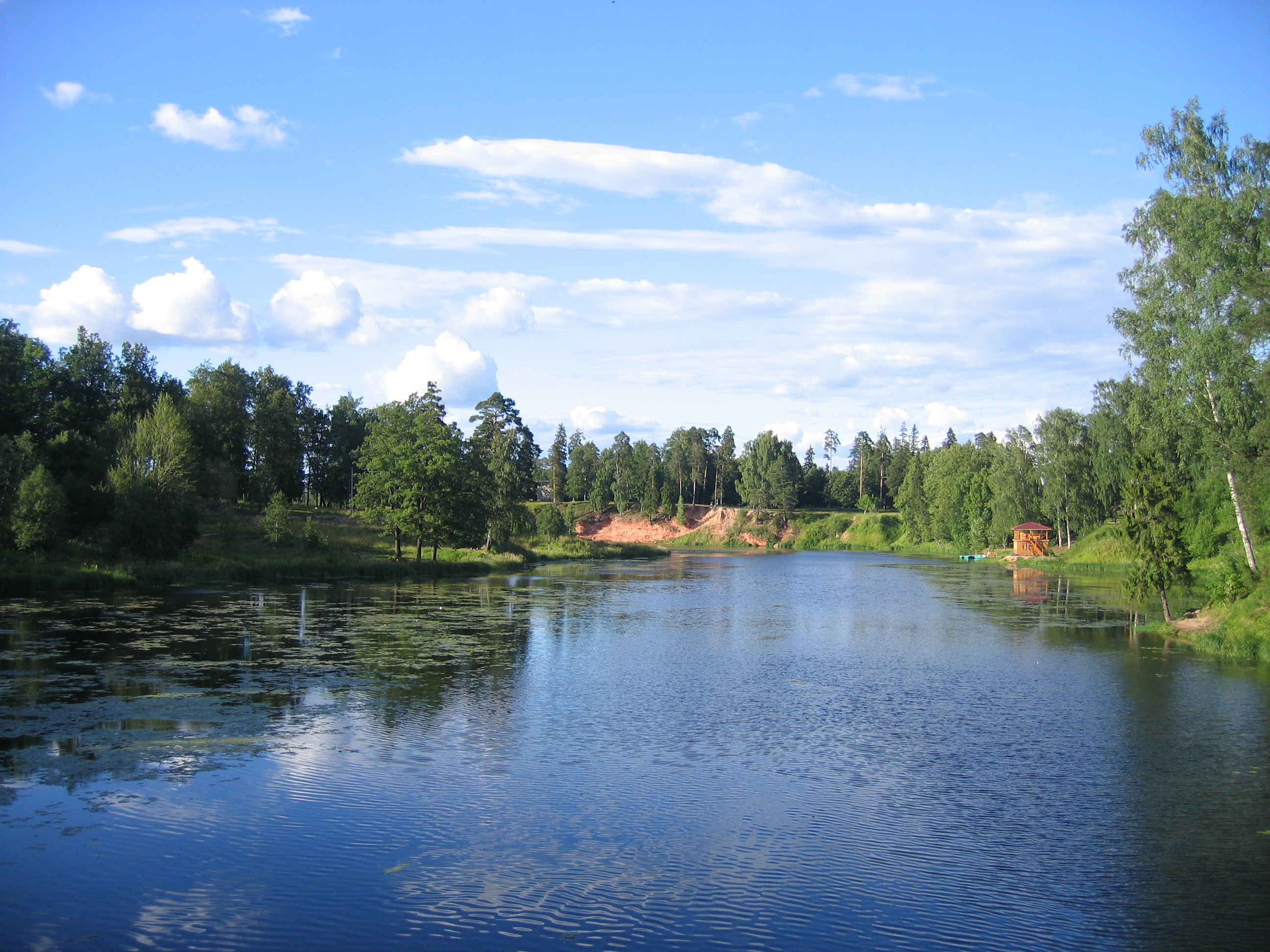 Адмиралтеец (ЛО пос. Сиверский)